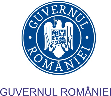 Romanian Government