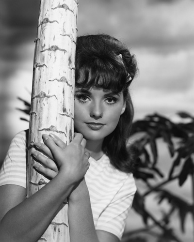 colin engel recommends dawn wells porn pic