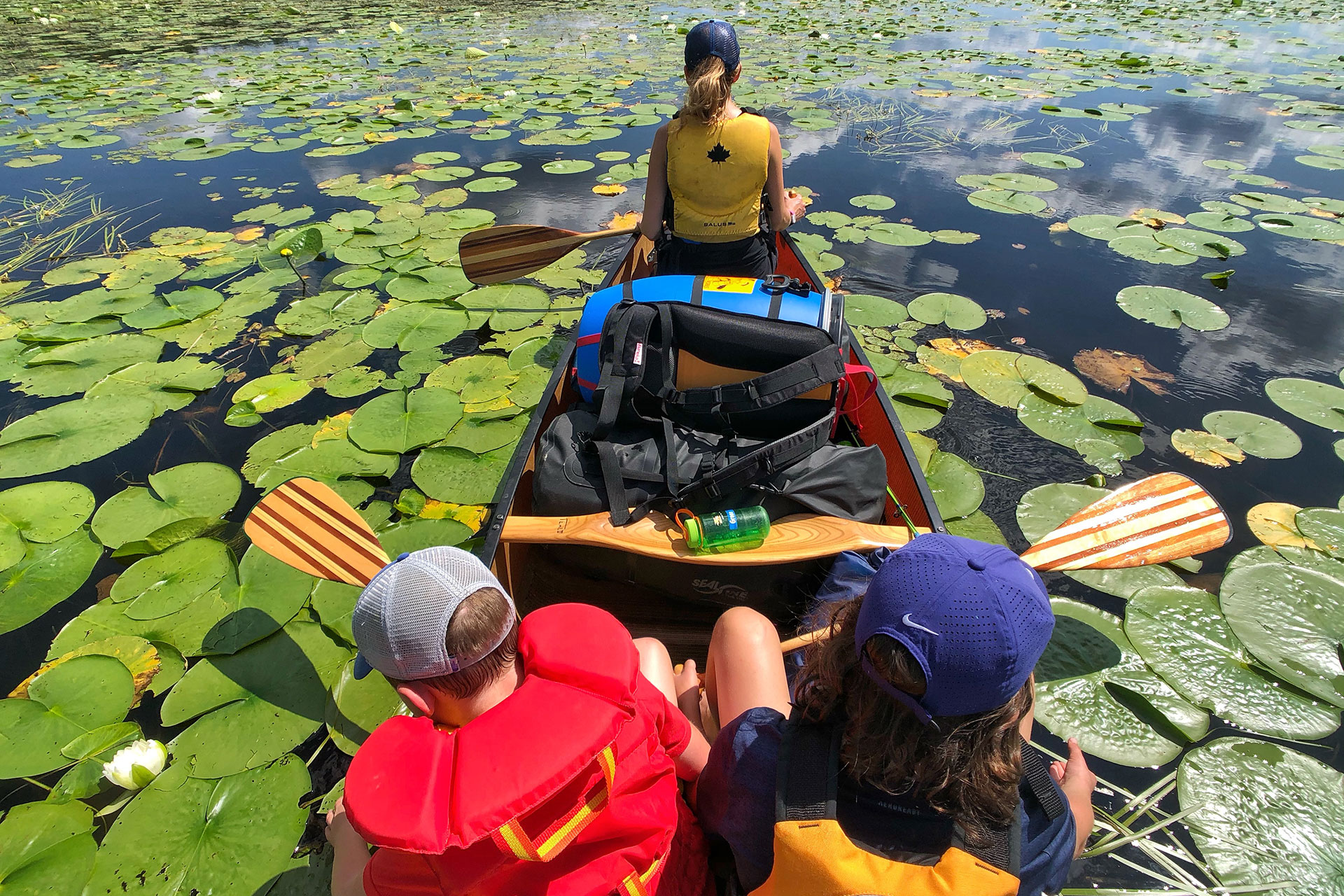 blanca matta recommends Family Canoe Trip Goes Wrong