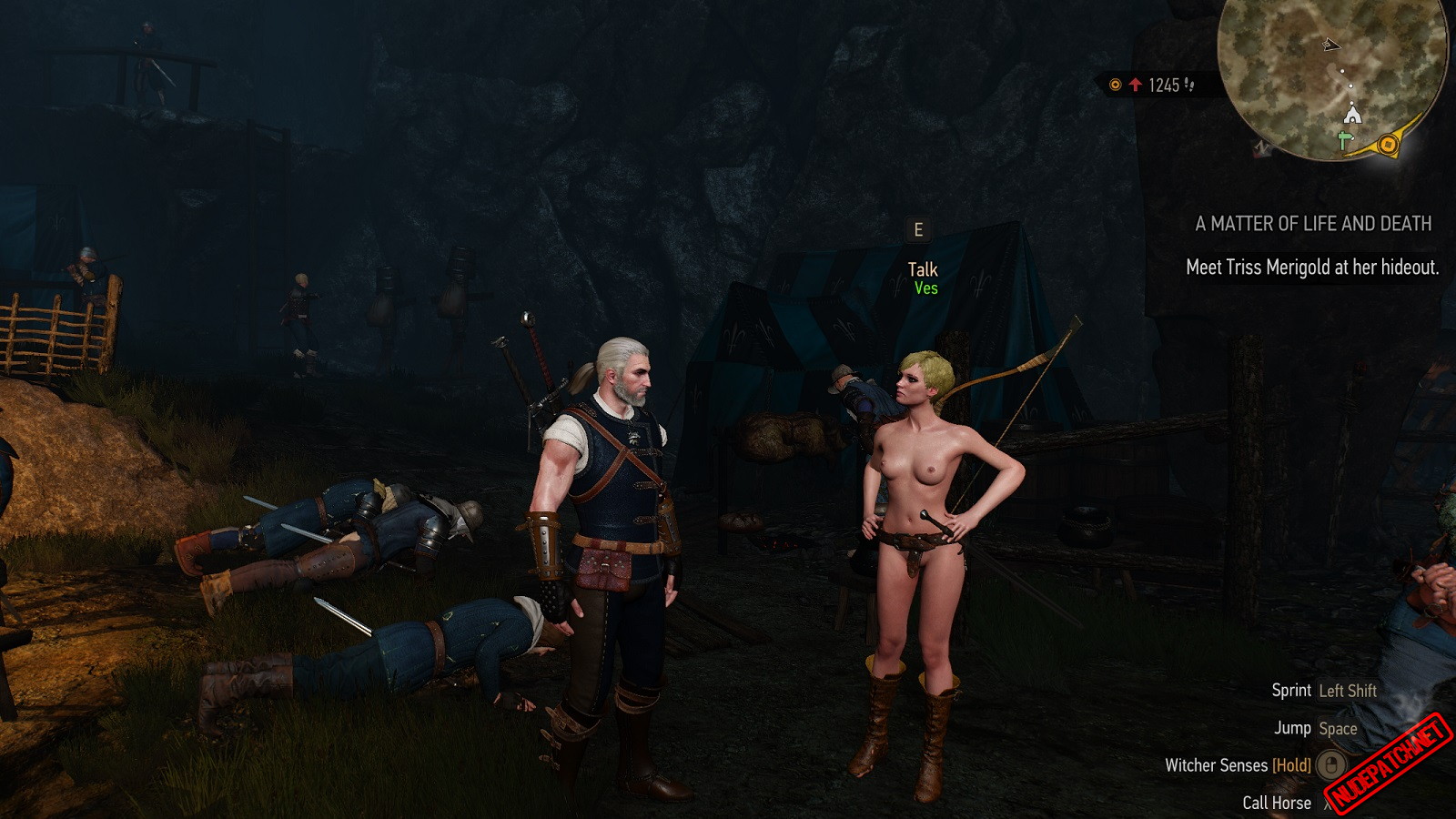 the witcher sexscene