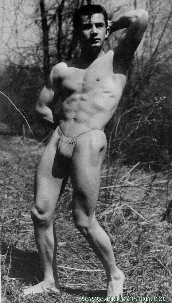 anali torres share vintage gay erotica photos