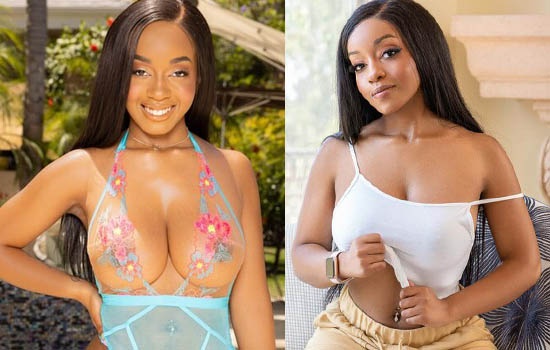 brandi willingham recommends sexy ebony pornstars pic