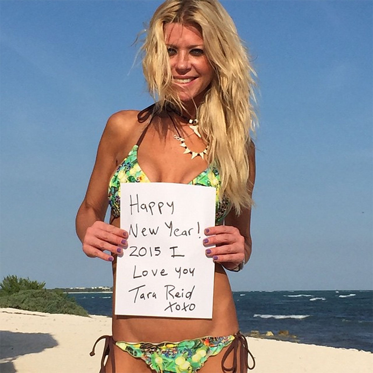 bassem youssef recommends Tara Reid Nude Video