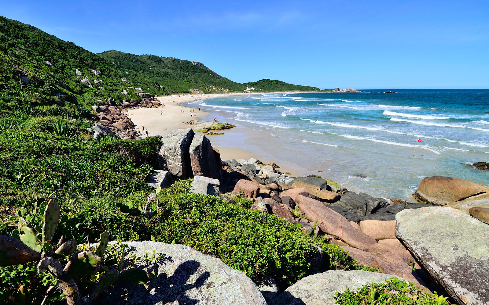 darlene langham recommends brazilian family nudists pic