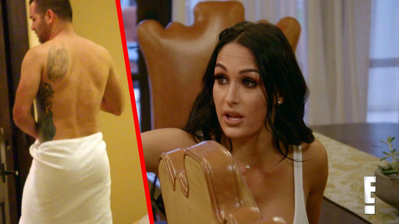 aron derstine recommends nikki bella nude photos pic